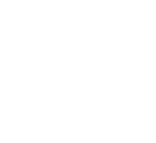 獨一無二、無法轉載、無法抄襲